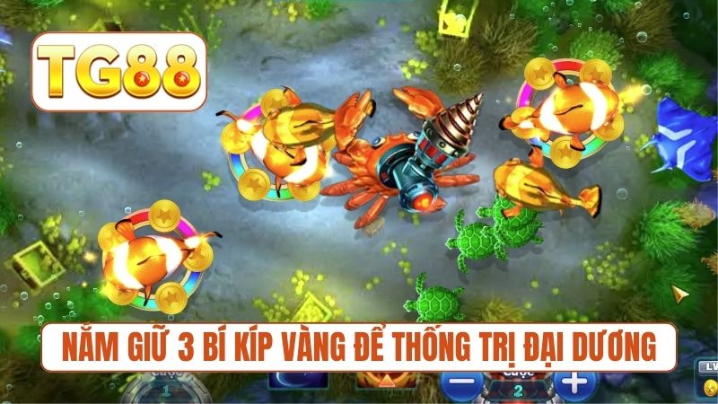 Nắm giữ 3 bí kíp vàng để thống trị đại dương 